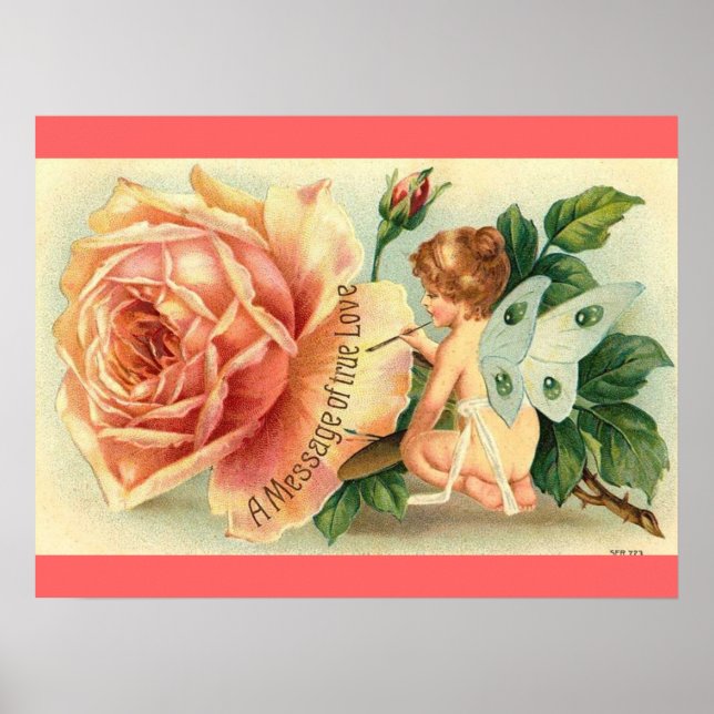Póster Poster rosa de hadas (Frente)