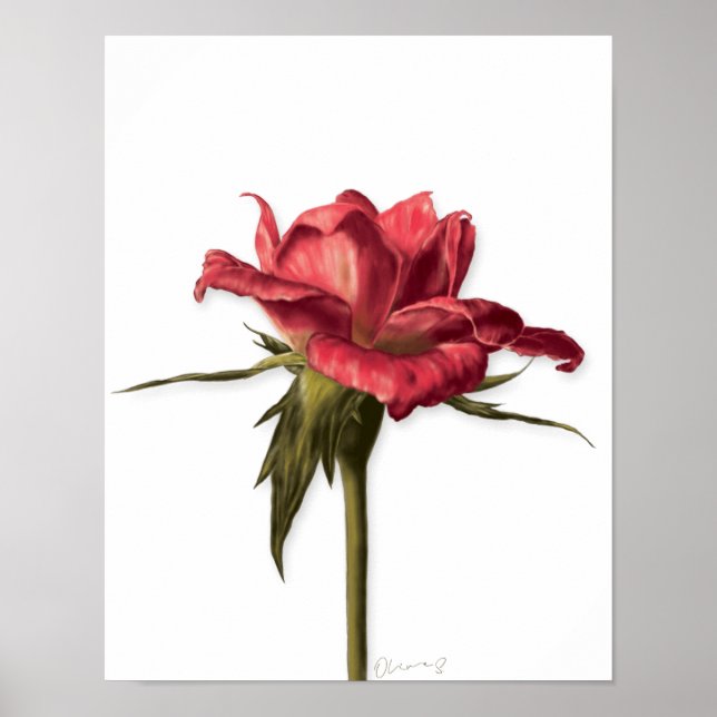 Póster Poster Rosa floral elegante (Frente)