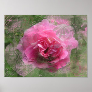 Póster Poster Rosa Rosa Rosa