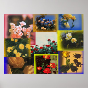 Póster Poster Rosa Wild Collage