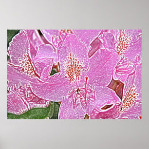 Póster Poster rosado del flor del rododendro