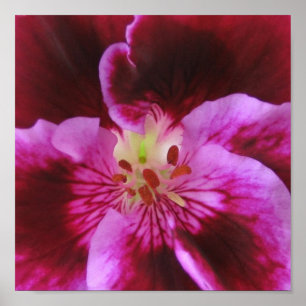 Póster Poster rosado del pensamiento