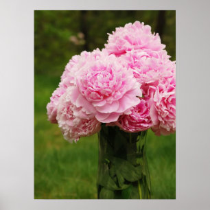 Póster Poster rosado del ramo del Peony
