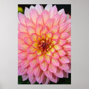 Póster Poster rosado y amarillo del estampado de flores