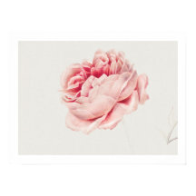 POSTER : ROSE : GEORGIUS J. JOHANNES VAN OS