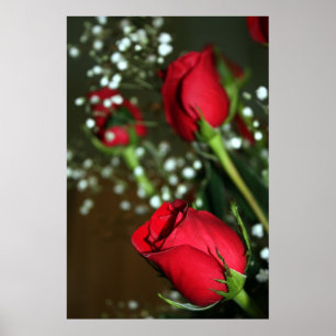 Póster Poster Roses Rojos