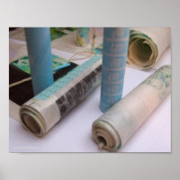 Poster Ruleaux de printemps Spring Rolls