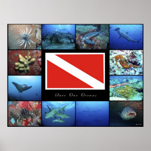 Póster Poster Salven Nuestros Océanos