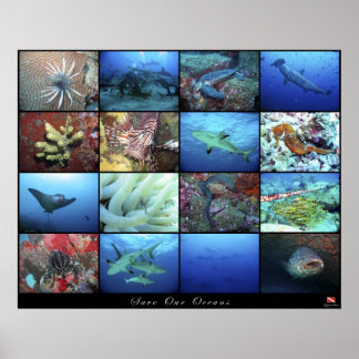 Póster Poster Salven Nuestros Océanos