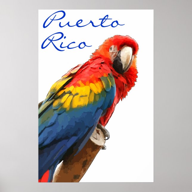 Póster Poster Scarlet Macaw de Puerto Rico (Frente)