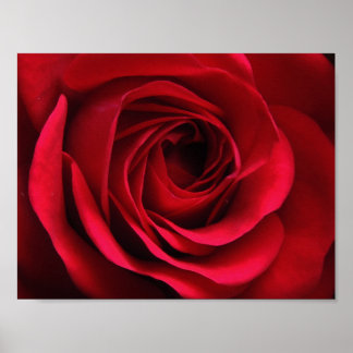 Póster Poster Scarlet Matte