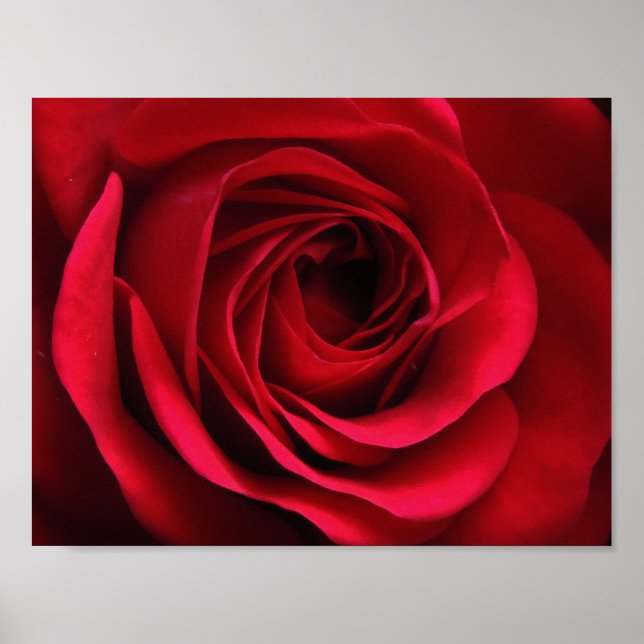 Póster Poster Scarlet Matte (Frente)