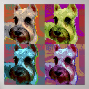 Póster Poster Schnauzer