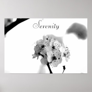 Póster Poster-Serenidad de motivación