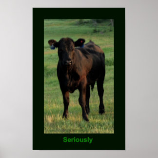 Póster Poster serio