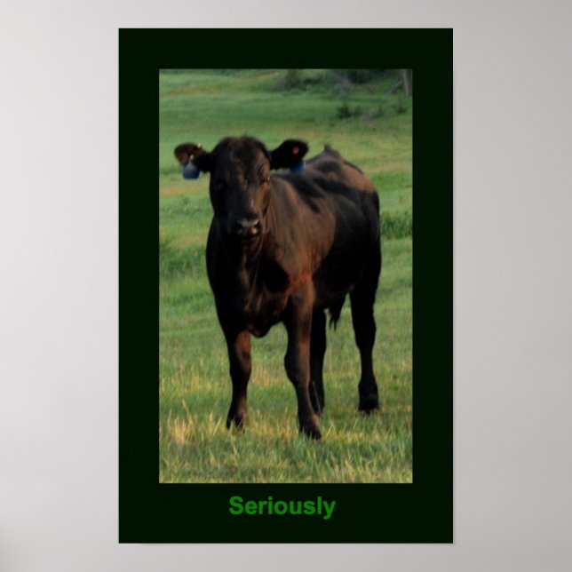 Póster Poster serio (Frente)