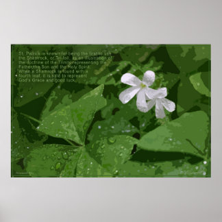 Póster Poster Shamrock con texto -36x24 -o menor