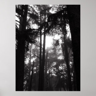 Póster Poster - Silencio plateado