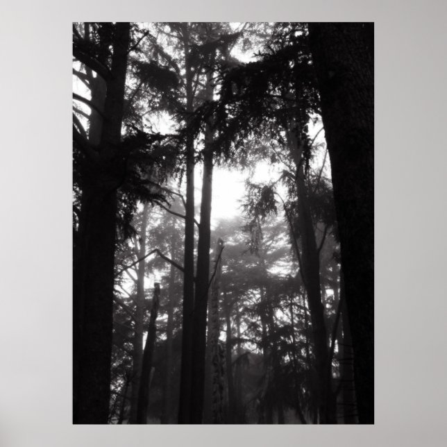 Póster Poster - Silencio plateado (Frente)