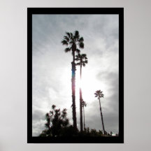 Poster - Silueta de árbol de palmas