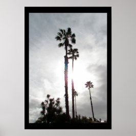 Póster Poster - Silueta de árbol de palmas