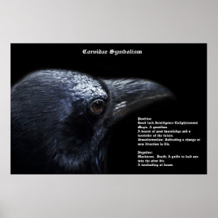 Póster Poster Simbolismo Corvidae