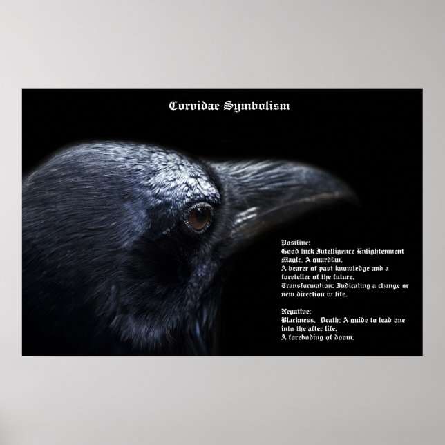 Póster Poster Simbolismo Corvidae (Frente)