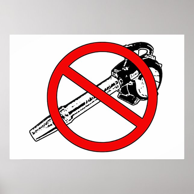 Póster POSTER sin flores de hoja (Frente)