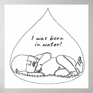 Póster Poster sin título