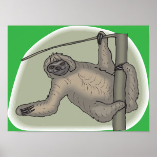 Póster Poster Sloth