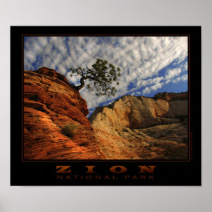 Póster Poster solitario del árbol de Zion