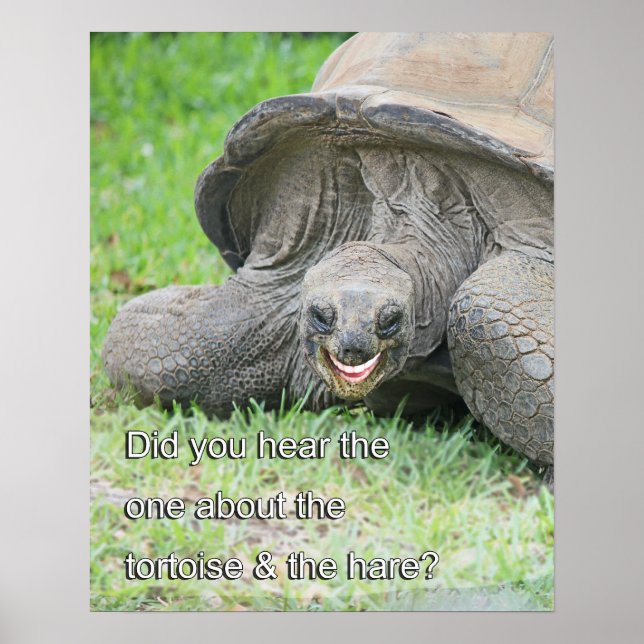 Póster Poster sonriente de tortuga (Frente)