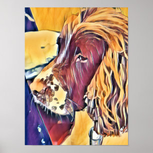 PÓSTER POSTER SPANIEL