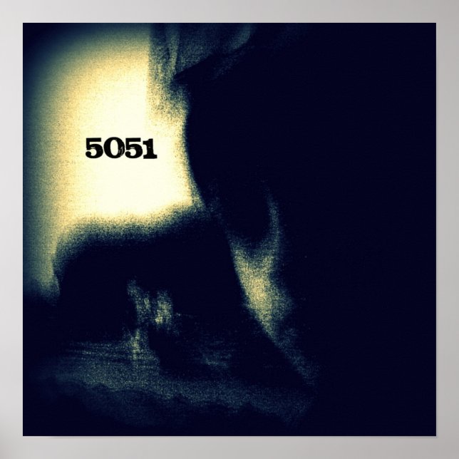 Póster POSTER SPIDERintheHALL 5051 (Frente)