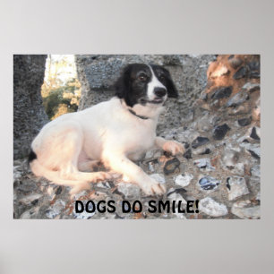 Póster Poster Sprollie Visitando Castillo Sonriente