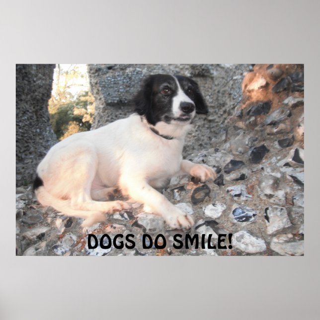 Póster Poster Sprollie Visitando Castillo Sonriente (Frente)