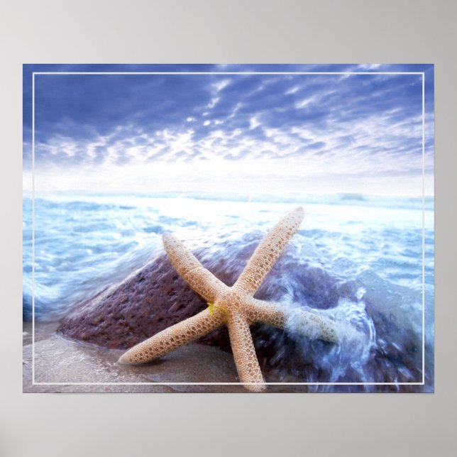 Póster Poster-Starfish (Frente)