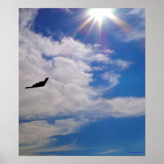 Póster Poster Stealth Bomber
