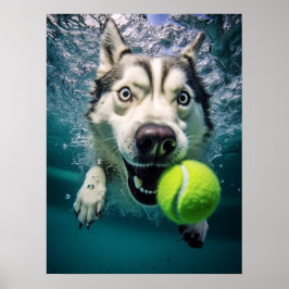 Póster Poster subacuático de buceo cuberiano Husky
