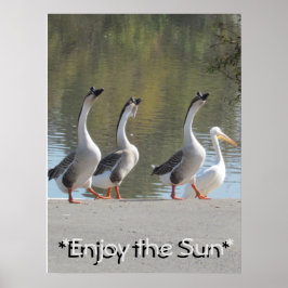 Póster Poster - Sun Loving Geese