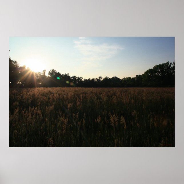 Póster Poster Sun Over Field #4156 (Frente)