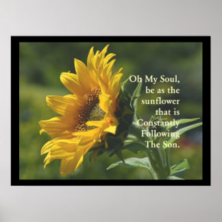Póster Poster SunFlower