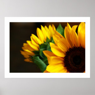 Póster Poster Sunflowers