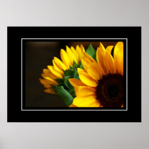 Póster Poster Sunflowers