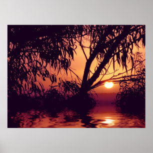 Póster Poster Sunset Silhouette Habitat