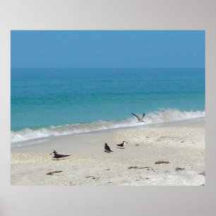 Póster Poster Surf Hunters
