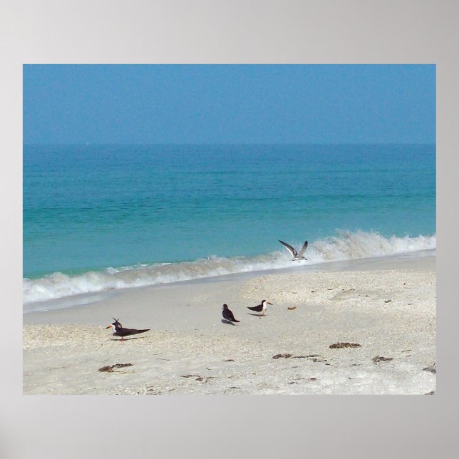 Póster Poster Surf Hunters (Frente)