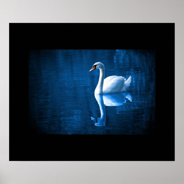 Póster Poster Swan (Frente)