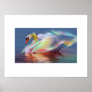 Póster Poster Swan