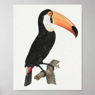 Póster Poster táctil de época